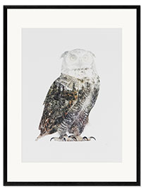 Ingelijste kunstdruk Arctic Owl