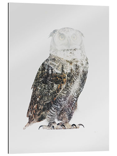 Galleriprint Arctic Owl