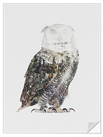 Naklejka na ścianę Arctic Owl