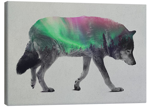 Canvas print Wolf in Aurora Borealis