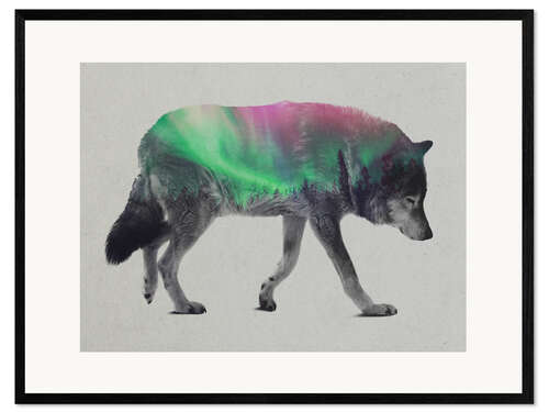 Impresión de arte enmarcada Lobo en aurora boreal