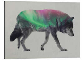 Magnettafel Wolf in Aurora Borealis