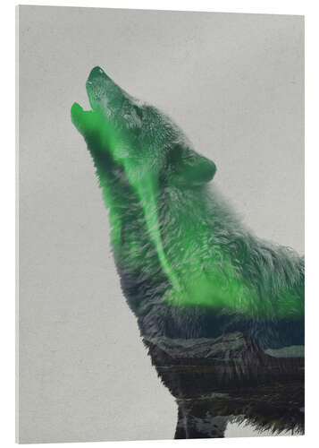 Stampa su vetro acrilico Howling in the Aurora Borealis