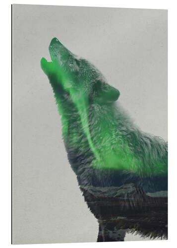 Galleriprint Howling in the Aurora Borealis