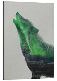 Magnettafel Heulend in Aurora Borealis