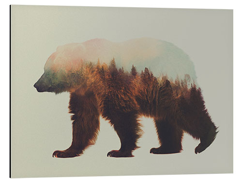 Aluminium print Norwegian woods, the brown bear