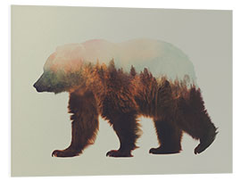 PVC-tavla Norwegian forests and brown bear