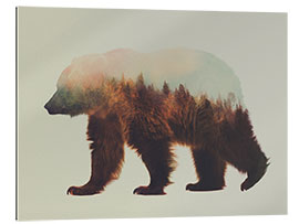 Gallery print Norwegian woods, the brown bear