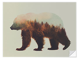 Selvklebende plakat Norwegian forests and brown bear