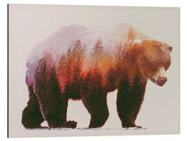 Magnettafel Braunbär