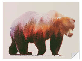 Selvklebende plakat Brown bear