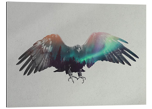 Quadro em plexi-alumínio Eagle In The Aurora Borealis