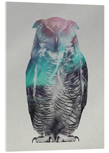 Acrylic print Owl in the aurora borealis