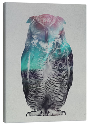 Canvas print Owl in the aurora borealis