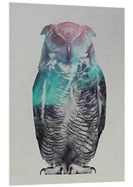 Stampa su PVC Owl in the aurora borealis