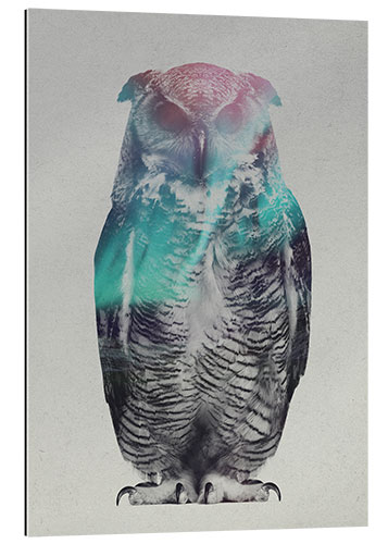 Gallery print Owl in the aurora borealis