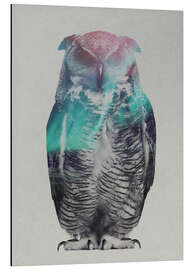 Magnettafel Eule in Aurora Borealis