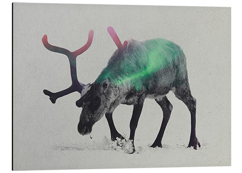 Aluminium print reindeer in the aurora borealis