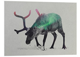 Foam board print reindeer in the aurora borealis