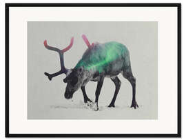 Gerahmter Kunstdruck Rentier in Aurora Borealis