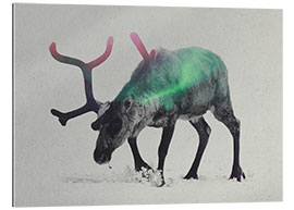 Gallery print reindeer in the aurora borealis