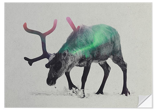 Selvklebende plakat reindeer in the aurora borealis