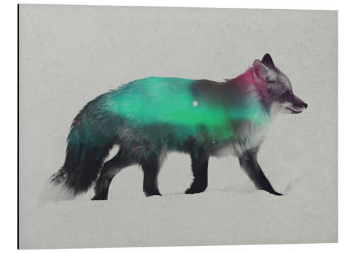 Aluminiumtavla Fox In The Aurora Borealis