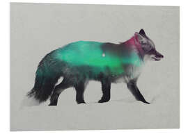 Foam board print Fox In The Aurora Borealis