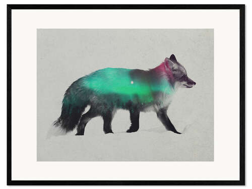 Gerahmter Kunstdruck Fuchs in Aurora Borealis