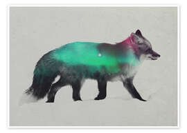 Poster Fox In The Aurora Borealis