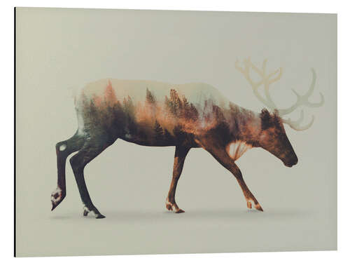 Aluminium print Norwegian Woods Reindeer