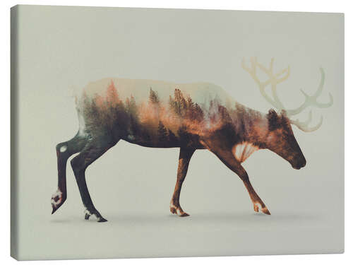 Canvas-taulu Norwegian Woods Reindeer