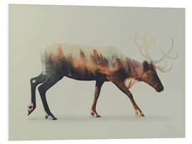 Foam board print Norwegian Woods Reindeer