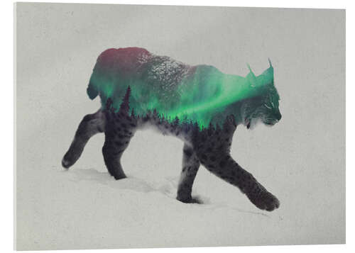 Akrylglastavla Lynx in the aurora borealis