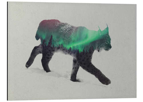 Aluminiumtavla Lynx in the aurora borealis