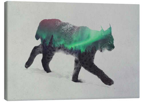 Canvas print Lynx in the aurora borealis