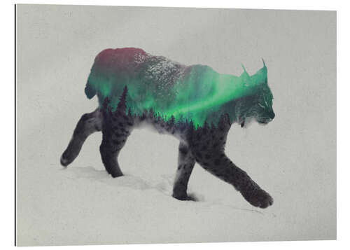 Gallery print Lynx in the aurora borealis