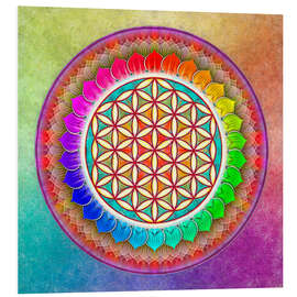 Foam board print Flower of Life, Rainbow Lotus Artwork I