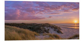 Foam board print Sunset beach at Zeeland the Netherlands