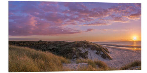 Quadro em plexi-alumínio Sunset beach at Zeeland the Netherlands