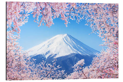 Alubild Berg Fuji in Japan zur Kirschblüte im Frühling