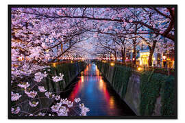 Gerahmter Kunstdruck Rosa Kirschblüte im Frühling in Tokio Japan