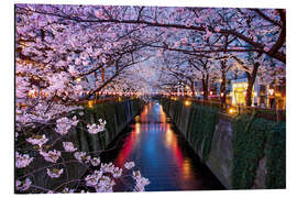 Magnettafel Rosa Kirschblüte im Frühling in Tokio Japan