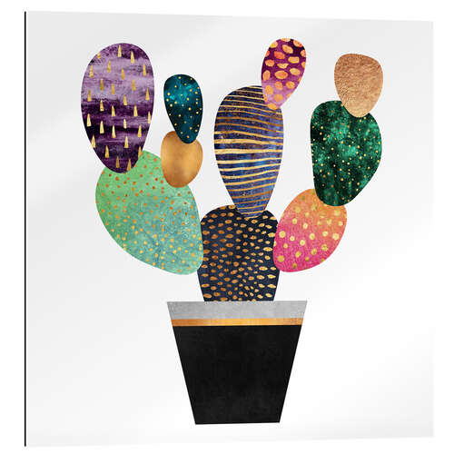 Gallery print Pretty cactus