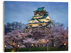 Trebilde Osaka Castle in spring for cherry blossom