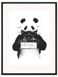 Gerahmter Kunstdruck Bad panda