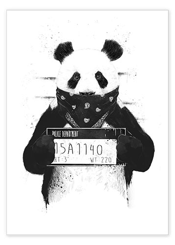 byld Feje galdeblæren Bad panda print by Balazs Solti | Posterlounge
