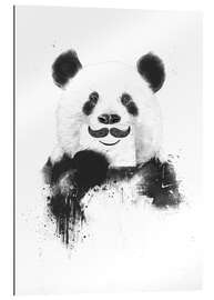 Gallery print Funny panda