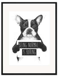 Gerahmter Kunstdruck Being normal is boring