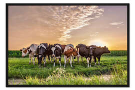 Gerahmter Kunstdruck Kühe im Sonnenuntergang